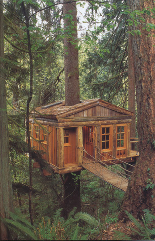 \"treehouse6.jpg\"